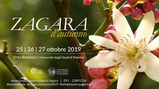 Zagara d’autunno 2019