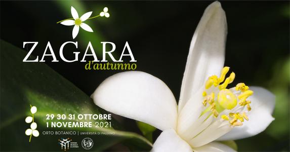 Zagara d’autunno 2021 all’Orto Botanico di Palermo
