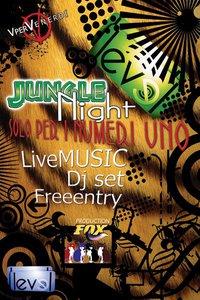 JungleNight @ Level