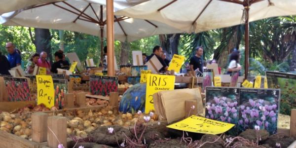 Mostra mercato “La Zagara” all’Orto Botanico