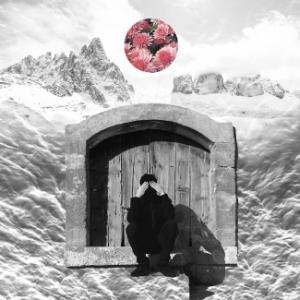 Veivecura live al Bolazzi