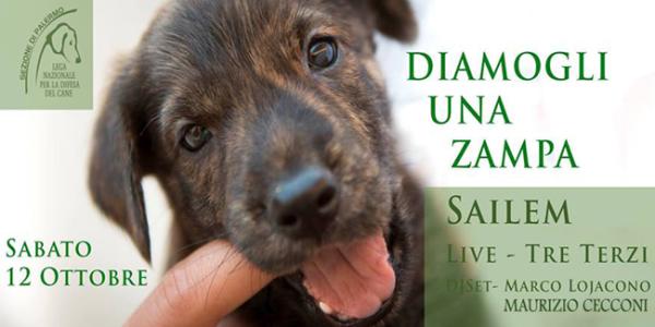 Diamogli una zampa