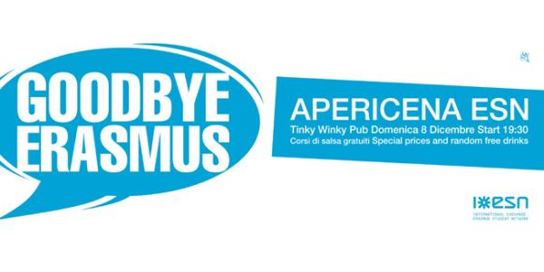 Goodbye Erasmus party