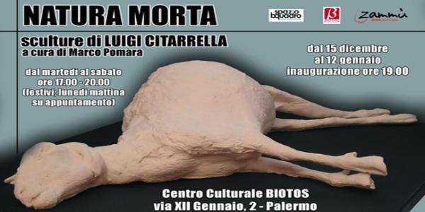 Natura Morta