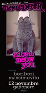 Nice to meow you