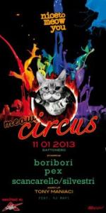Nice to meow you Circus