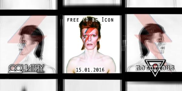 Notorious presents: a Tribute to David Bowie