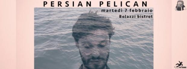 Persian Pelican live da Bolazzi